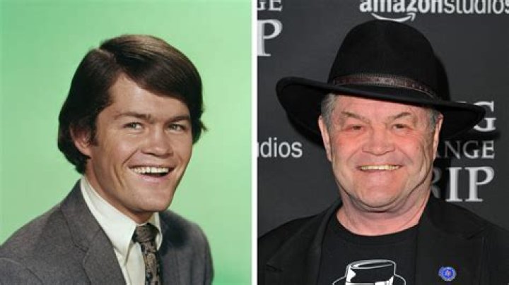 Donna Quinter And Micky Dolenz Ethnicity Explained, Where Are They From?