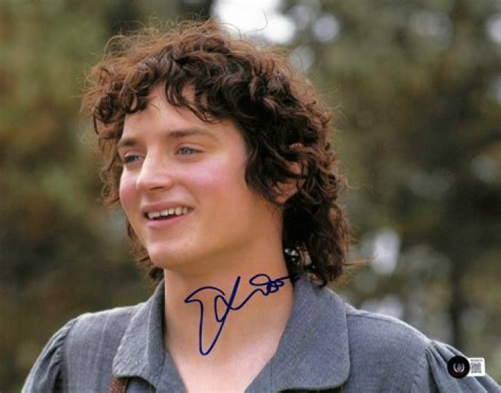 Elijah Wood (Actor)Frodo Baggins, Wife, Baby, Bio, Wiki, Age, Height, Movies, Tattoo and Charity work.