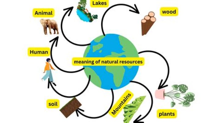 What is the meaning of pliable in science