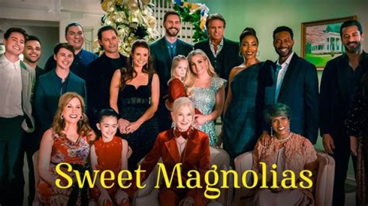 Who Are Brit Turner & Shannon Turner? Take A Look At Sweet Magnolias Cast Personal Life